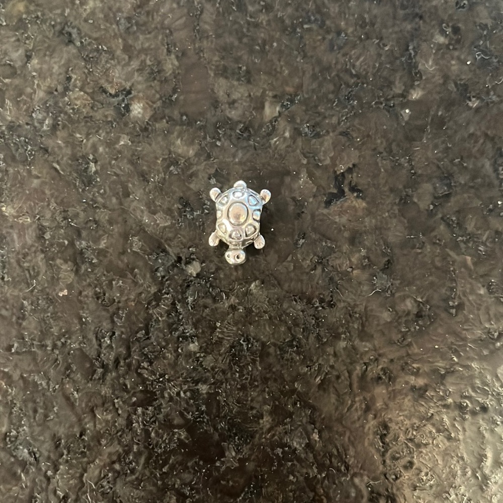 Pandora Turtle Charm retired.